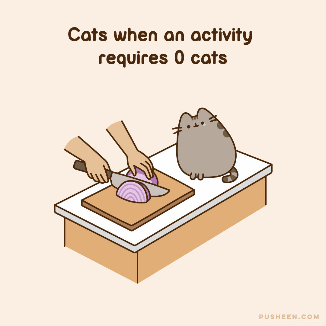 TEST When The Activity Requires 0 Cats