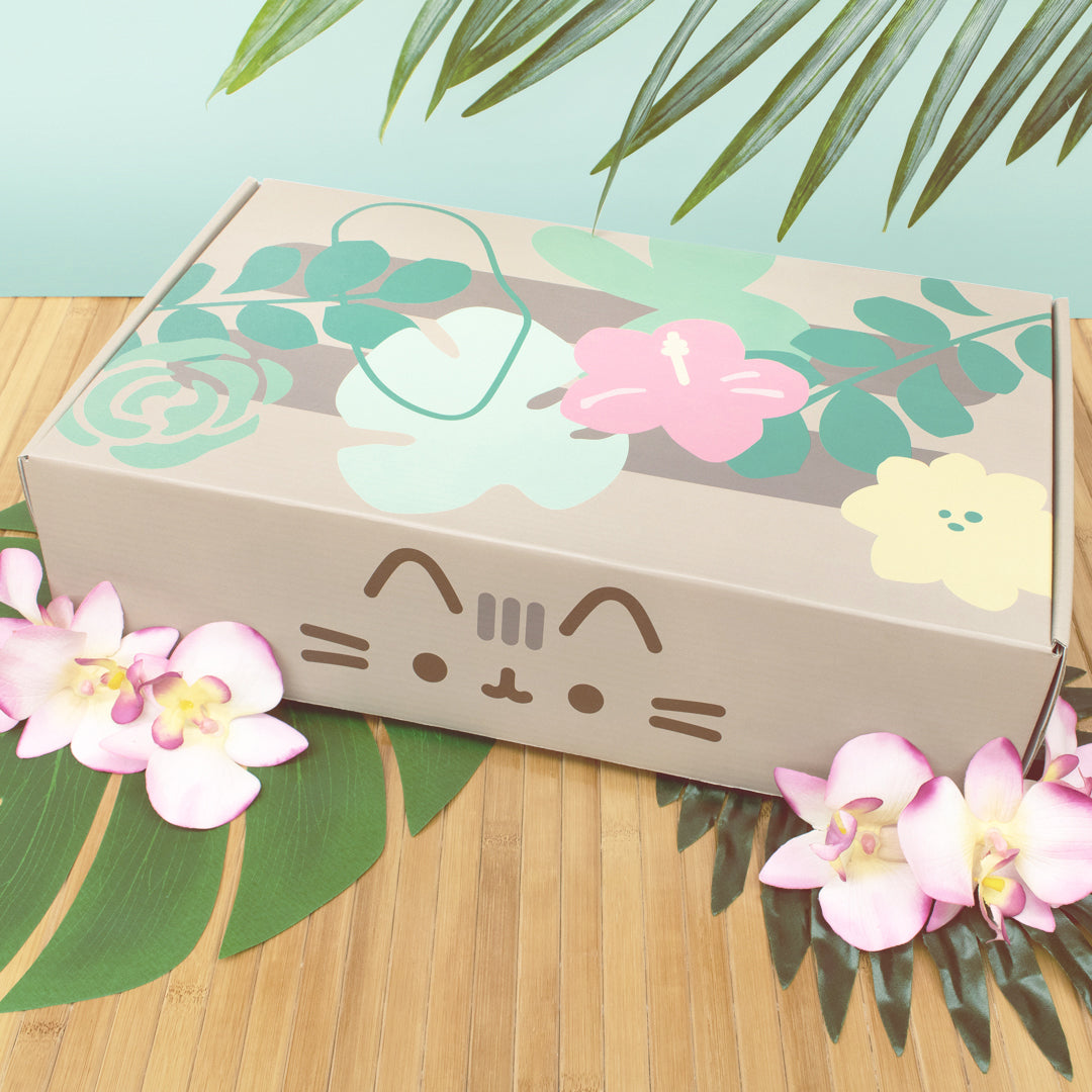 Looking for Pusheen Box?