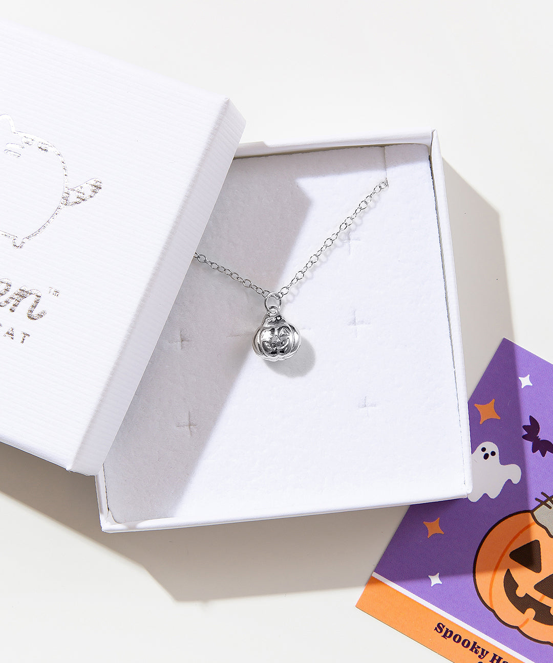 Close up of the silver charm necklace in the jewelry box