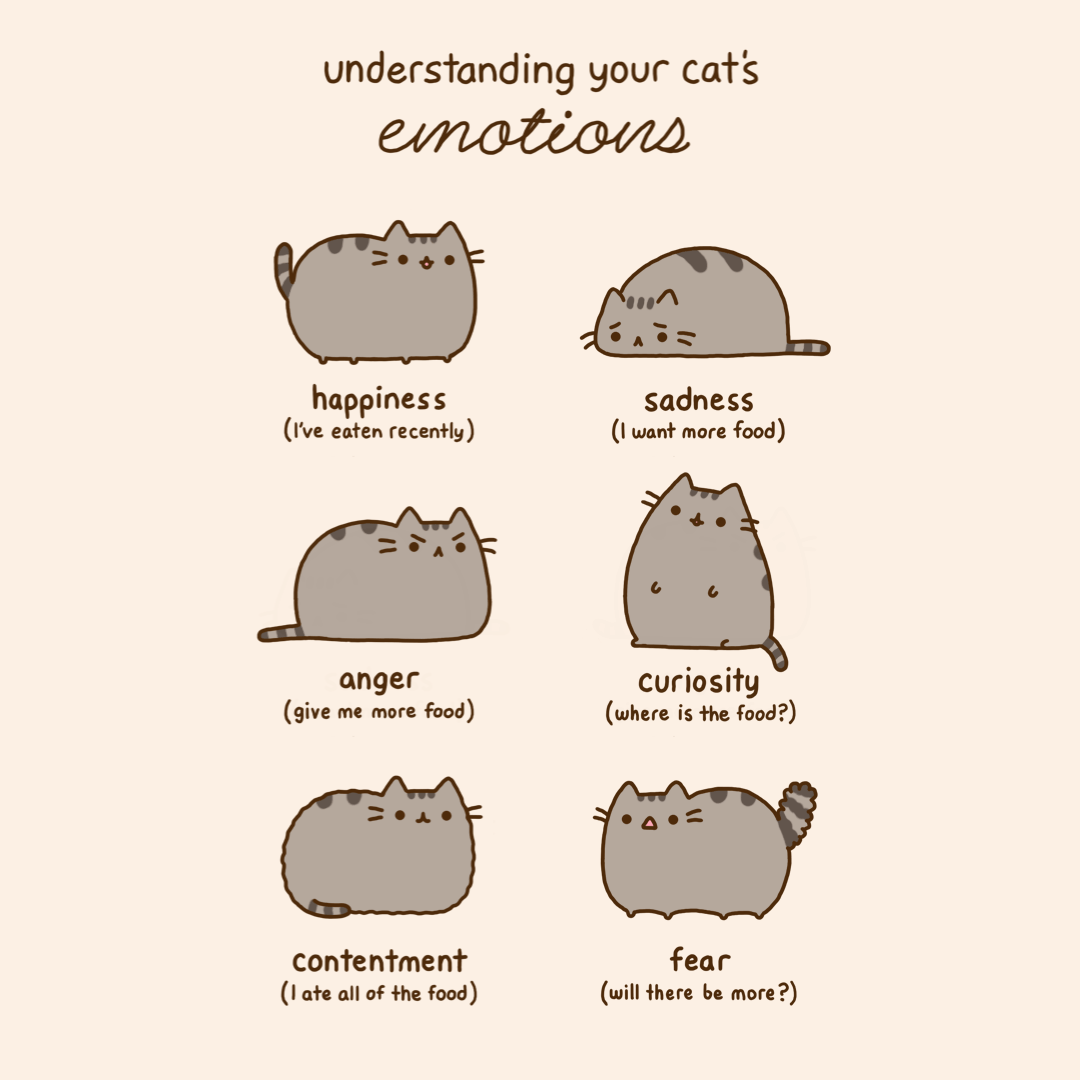 Pusheen the Cat - Understanding Your Cat's Emotions - Blank All Occasion  Card