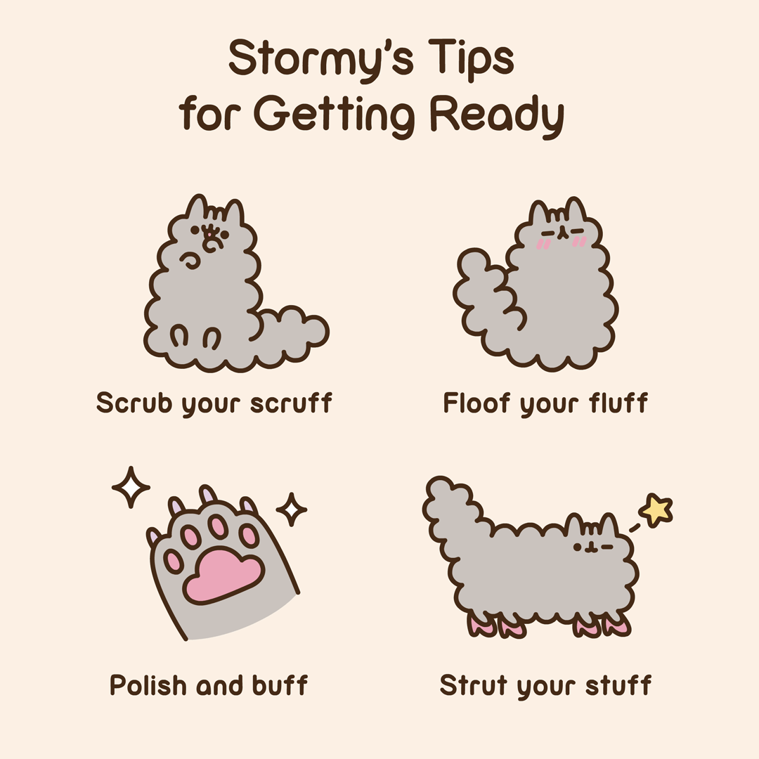 pusheen and stormy