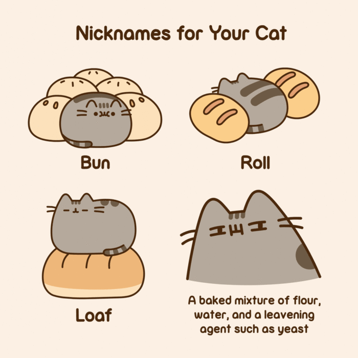 Pusheen Nicknames For Your Cat Pusheen pusheen-nicknames-for-your-cat-pusheen