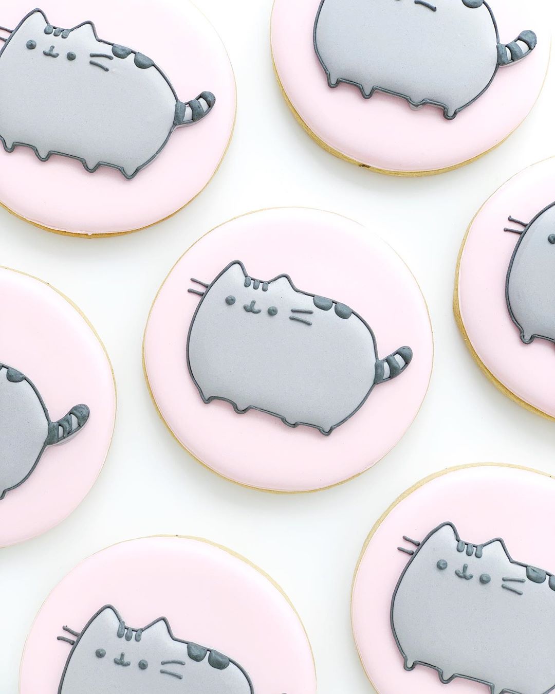 pusheen cat with cookie