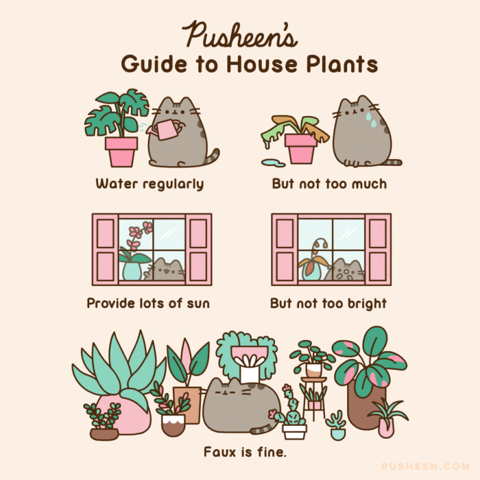 Pusheen : Pusheen's Guide to House Plants - Pusheen