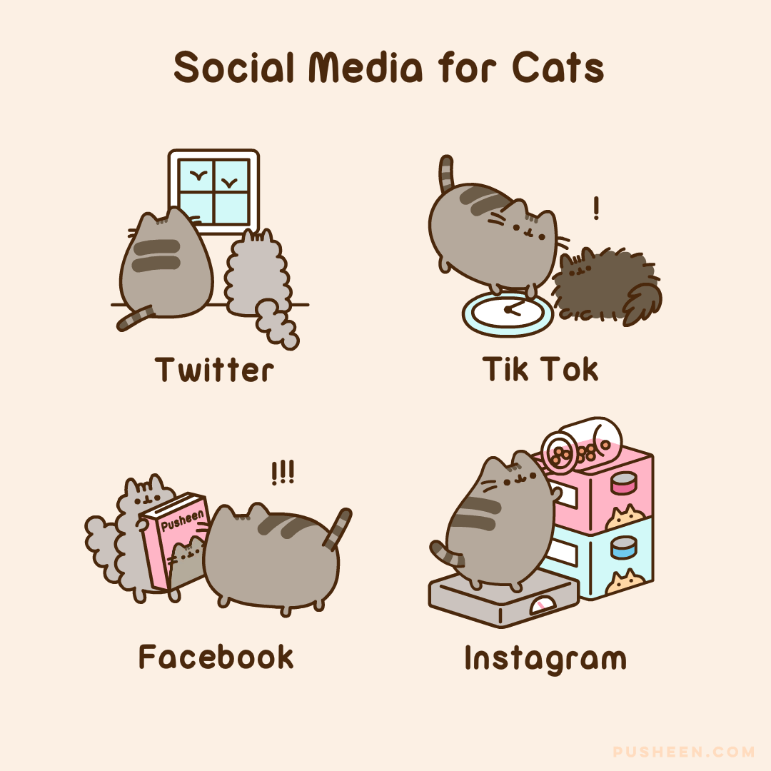 Pusheen : Social Media for Cats