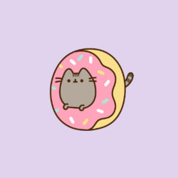 Pusheen : What Kind of Sweet Are You? Take the New Quiz and Find Out!