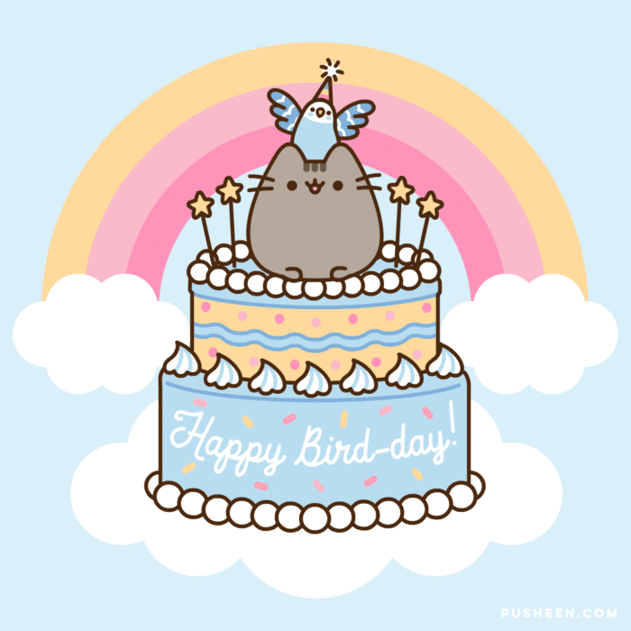 Pusheen : Happy Birthday Bo! - Pusheen