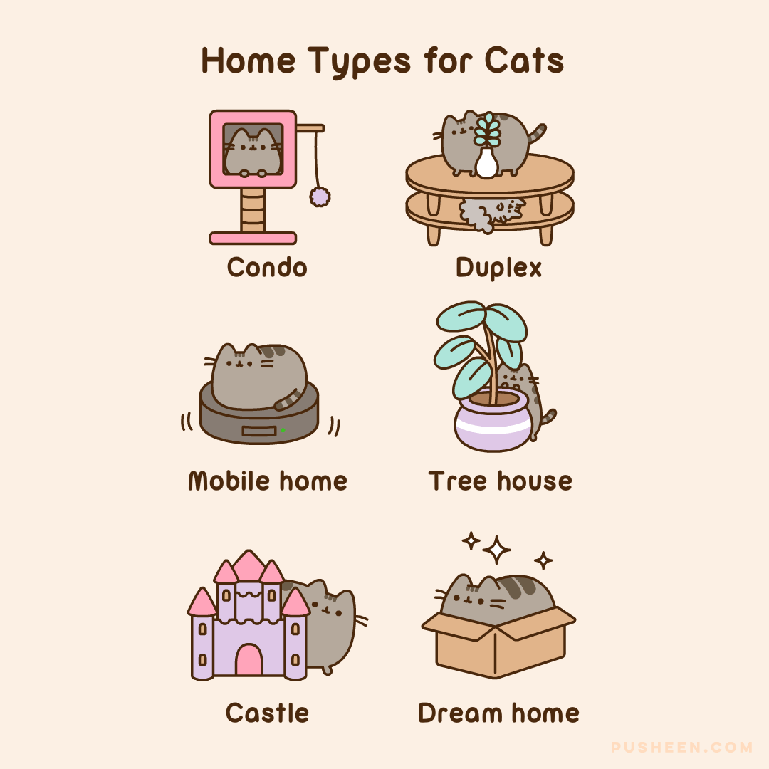 Pusheen : Home Types for Cats