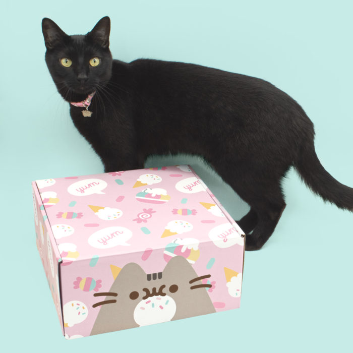 Pusheen Treat Your Cat to a Surprise with Cat Kit, by Pusheen Box!