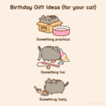 Birthday gift ideas for your cat