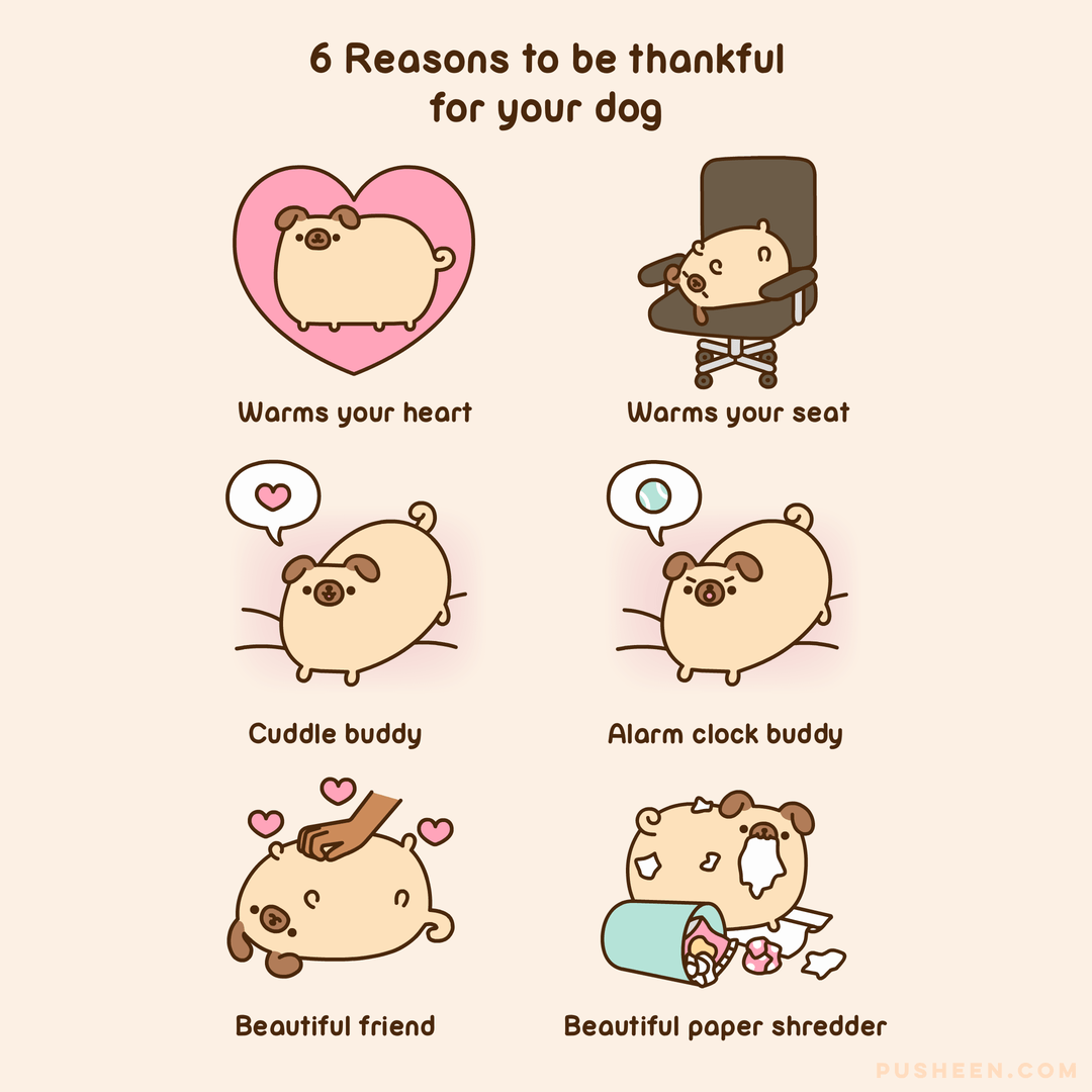 6 Reasons to be thankful for your dog