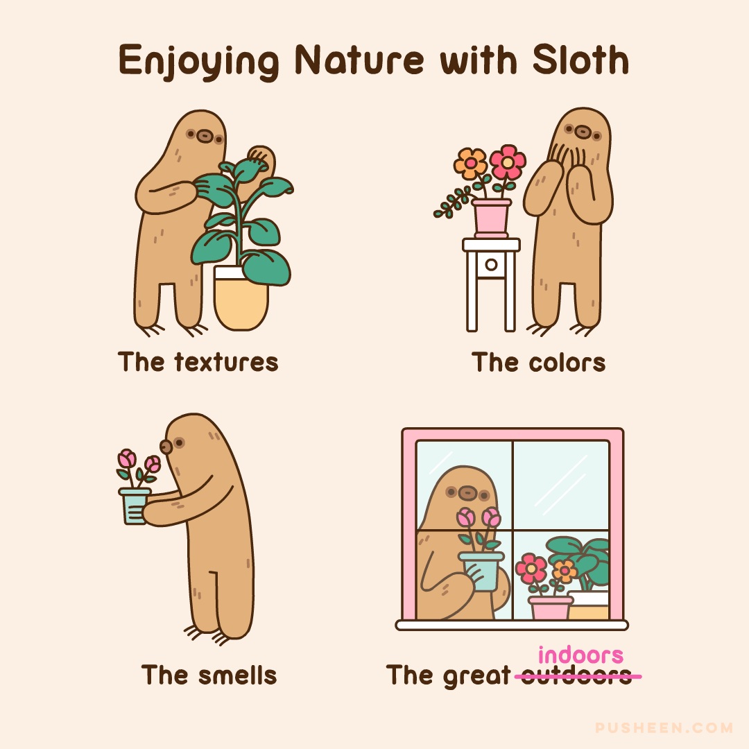 Enjoying Nature with Sloth