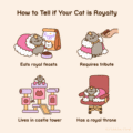 How to tell if your cat is royalty
