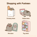 Shopping with Pusheen