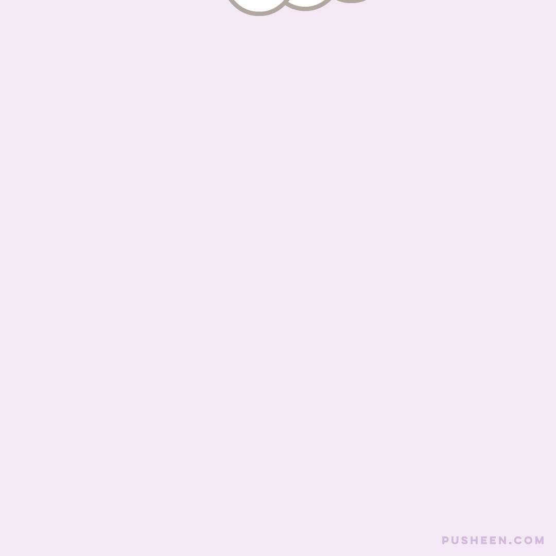 Pusheen Mille Feuilles