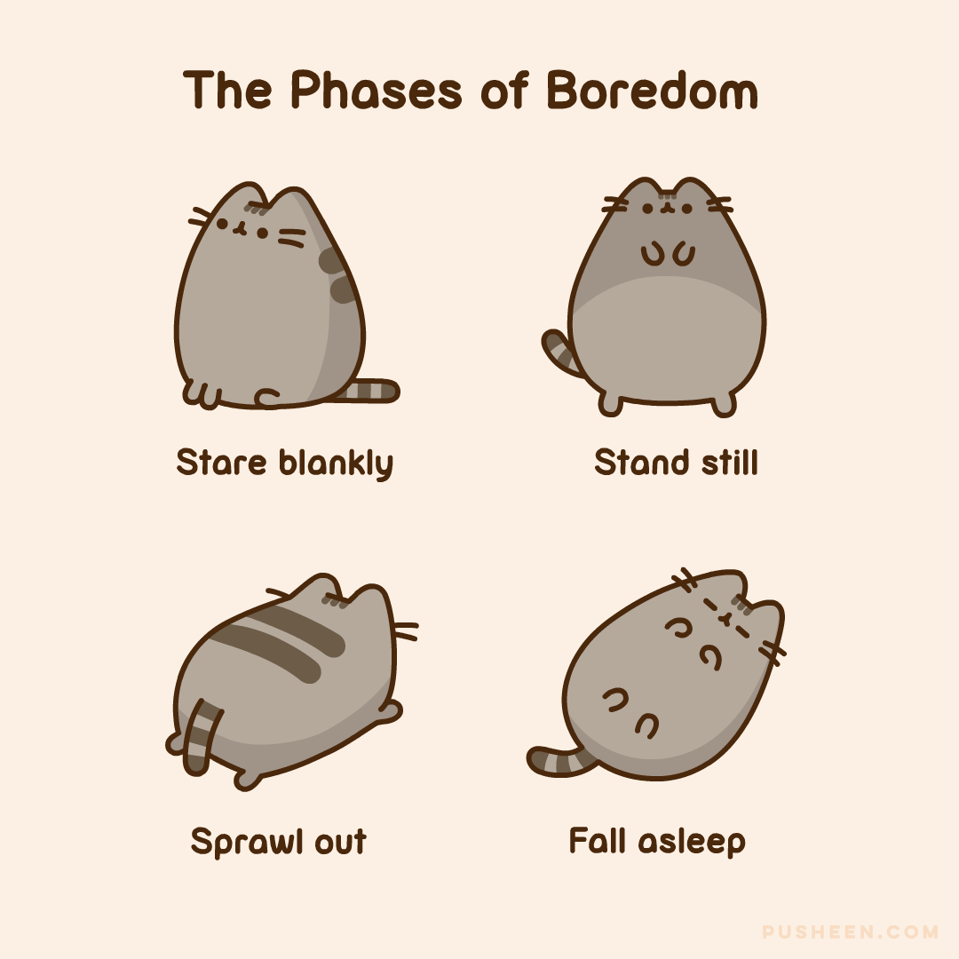 The Phases of Boredom