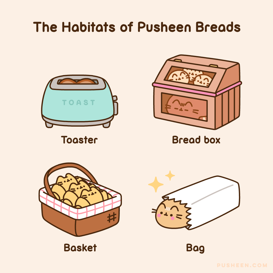 The Habitats of Pusheen Breads