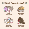Which Flower Are You?