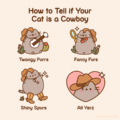 How to Tell if Your Cat is a Cowboy