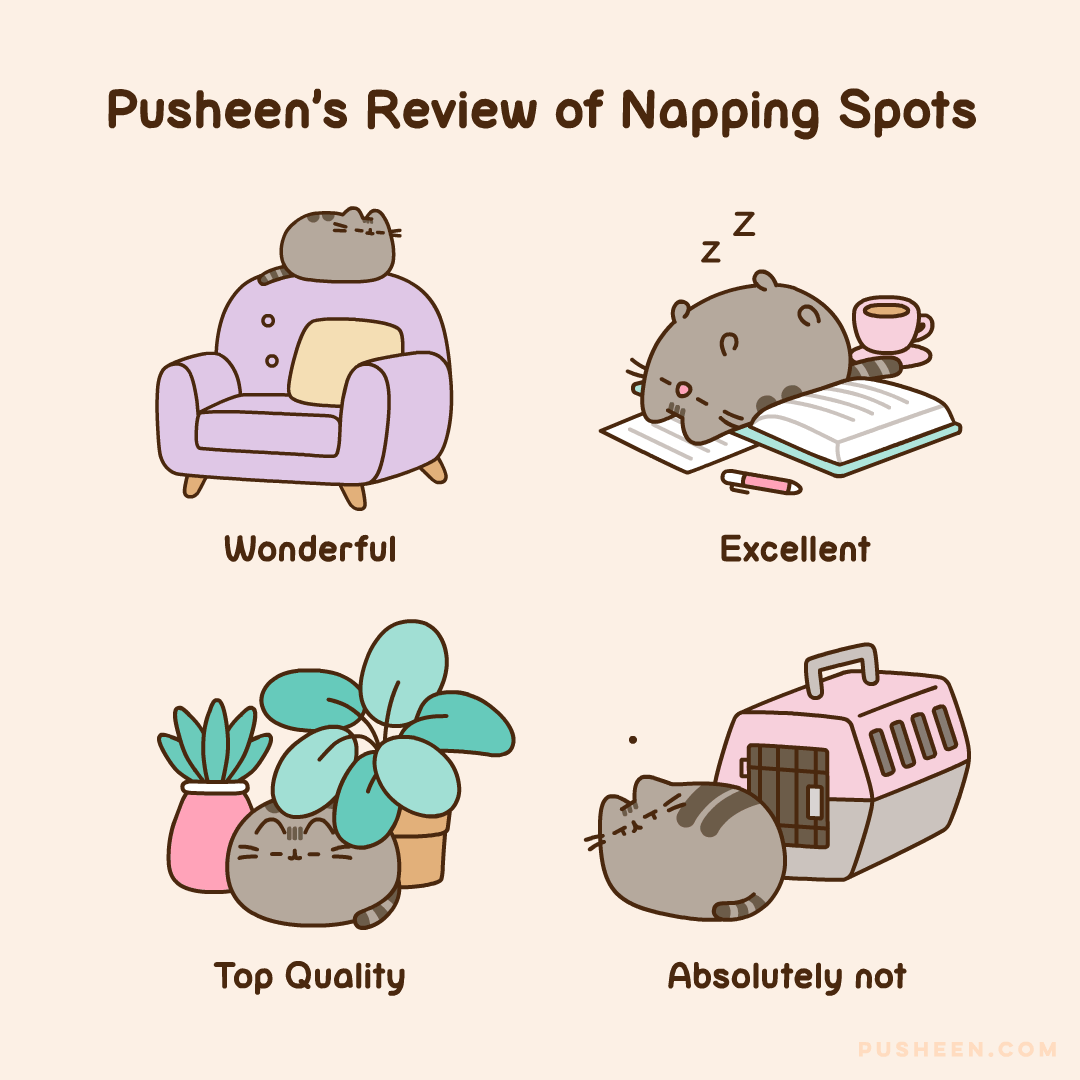 Pusheen's Review of Napping Spots