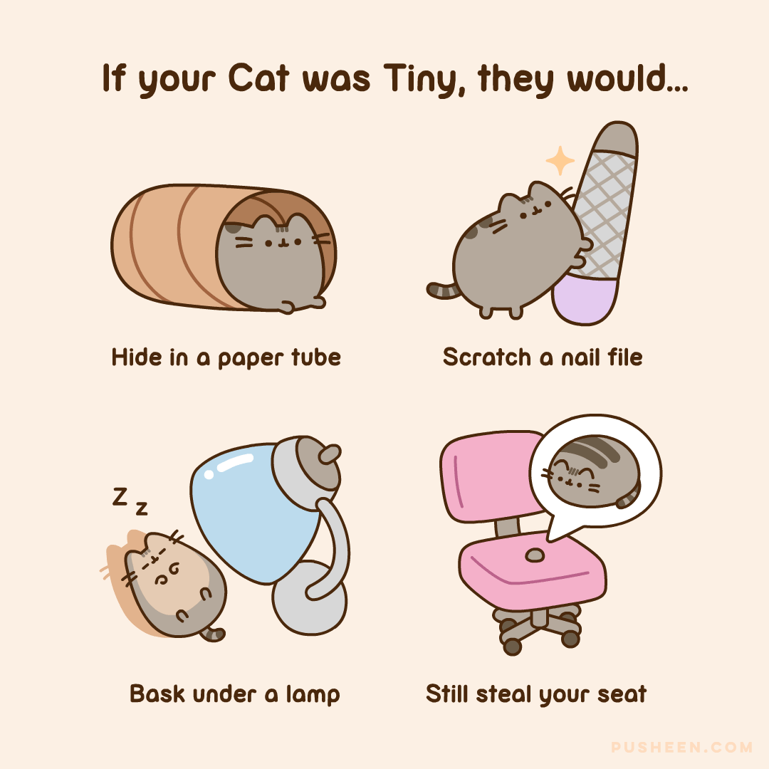 If Your Cat Was Tiny