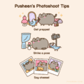 Pusheen's Photoshoot Tips
