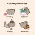 Cat Responsibilities