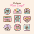What's Your Merit Badge?