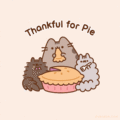 Thankful for Pie