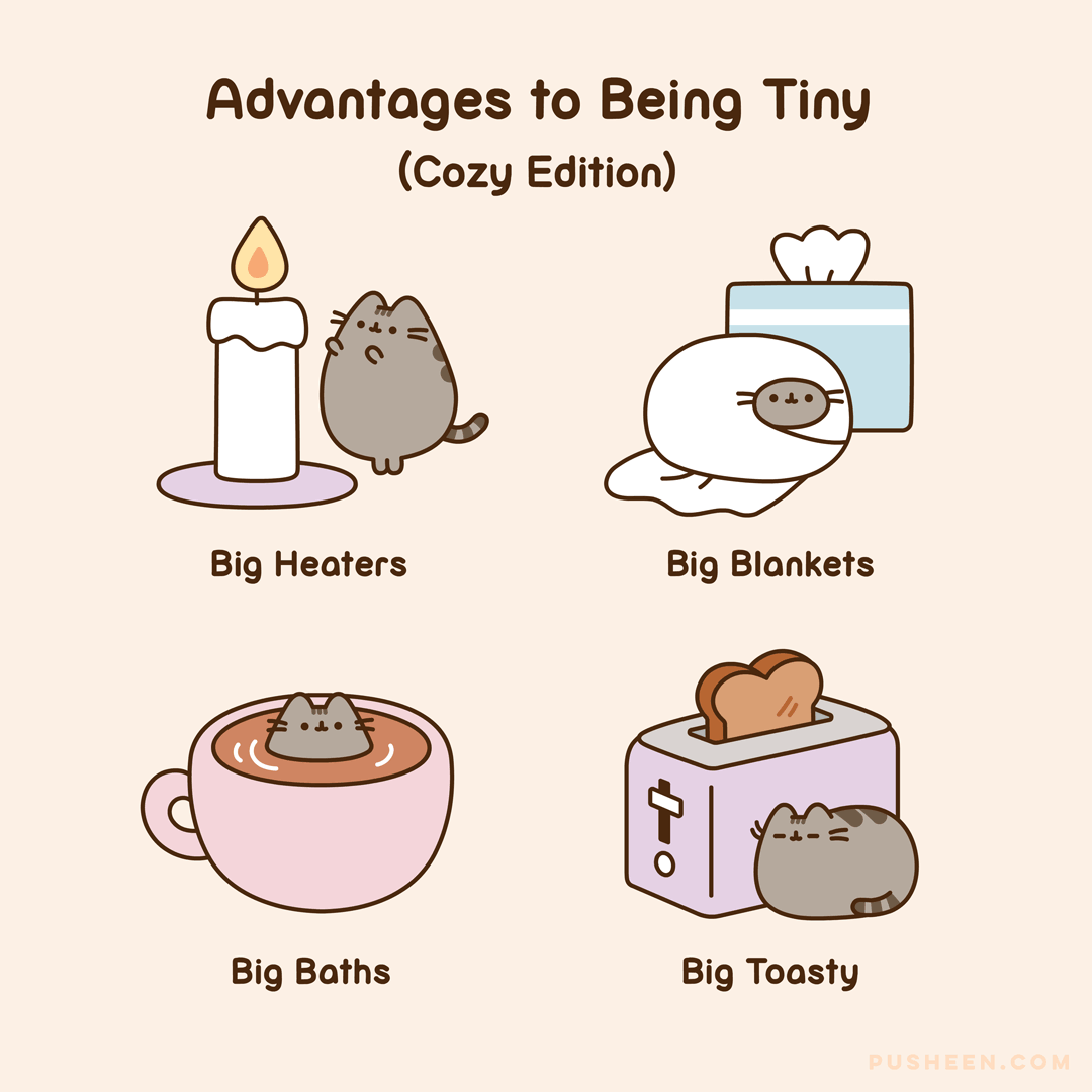 Pusheen's little brother pip online