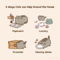 4 Ways Cats Can Help Around the House