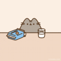 Cookies and Milk