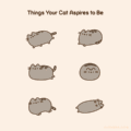 Things Your Cat Aspires to Be