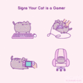 Signs Your Cat is a Gamer