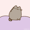 Happy International Cat Day