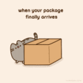 When your package finally arrives