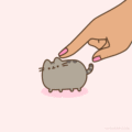 Tiny Pet