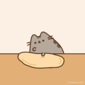 Making Pizza
