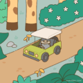 Safari