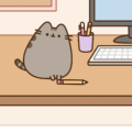 Pusheen Cat Logic